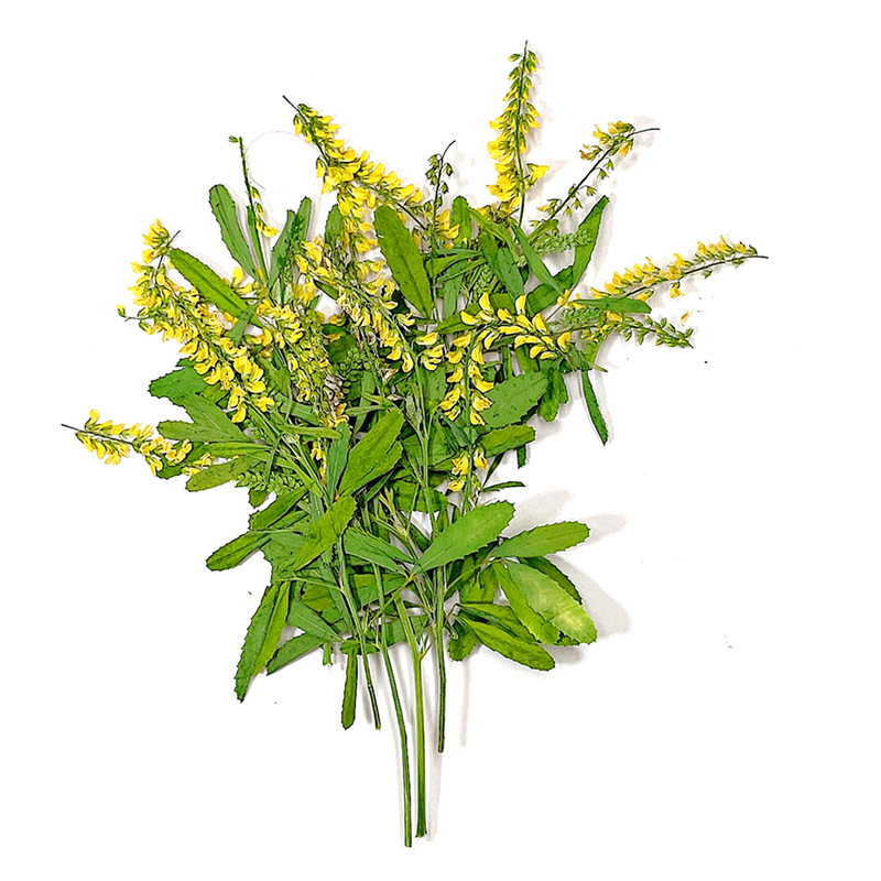 60 Buah Kristal Meliptus Kunin - Dried Flower Bookmark ulasan dan harga