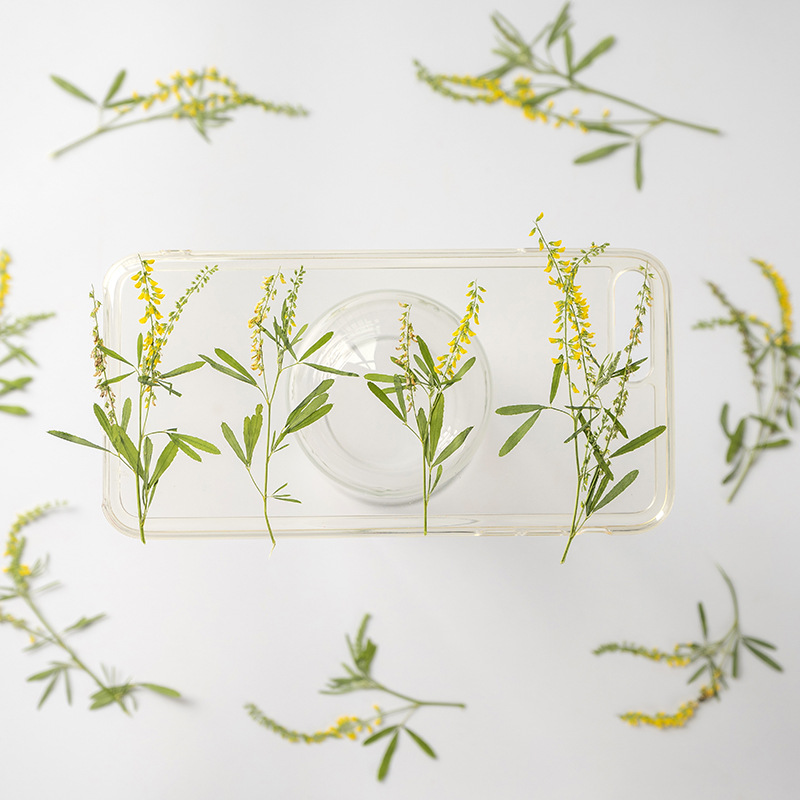 60 Buah Kristal Meliptus Kunin - Dried Flower Bookmark ulasan dan harga